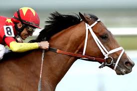 Image result for The Horse Racing Club