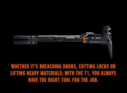 Image result for holmac tehron