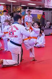 Image result for ATA Martial Arts Manchester