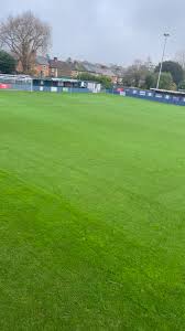 Image result for Chertsey Albion Fc