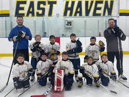 Image result for Streatham Youth Ice Hockey Club