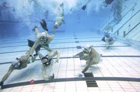 Image result for Caversham Underwater Hockey Club