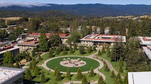 Image result for Graham Spicer Institute