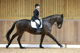 Image result for Thames Valley Riding Club