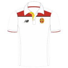 Image result for Manchester Metro Stars Fc