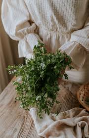 Image result for Liebstöckel