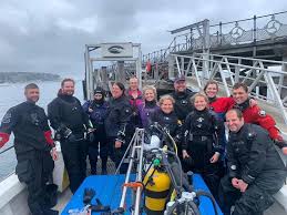 Image result for Kingston and Elmbridge Snorkellers