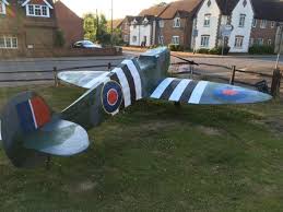 Image result for Hampshire Spitfires Finswimming Club