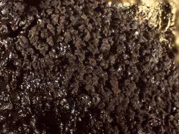 Attēlu rezultāti vaicājumam “Reticularia jurana macro”