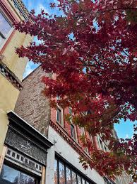 Image result for Portway Plodders