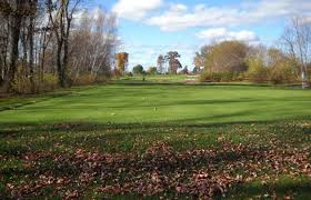 Image result for Black Swan Crown Green Bowling Club