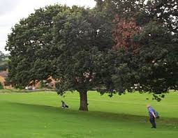 Image result for Old Colwyn Golf Club