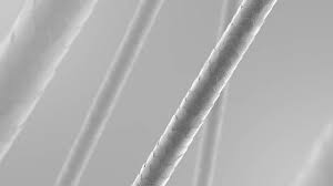 Image result for human hair microscope image
