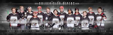 Image result for Vipers Roller Hockey Team