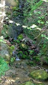 Image result for Currie Bowling Club