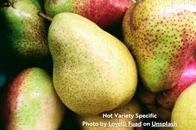 Attēlu rezultāti vaicājumam “Pyrus communis fruit”