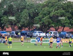 Image result for Aquinas Football Club