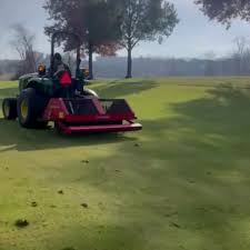 Image result for redexim tehron