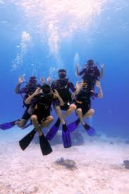 Image result for Seabug Divers