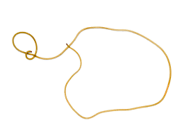 Attēlu rezultāti vaicājumam “Nematomorpha”