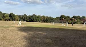 Image result for Whiteley Village Cricket Club