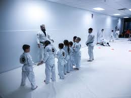 Image result for Derwent Jujitsu Academies