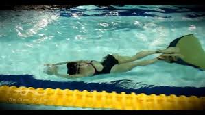 Image result for Apneists UK