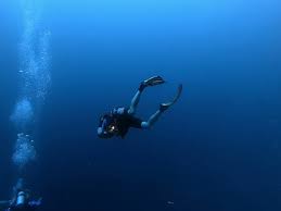 Image result for Deep Blue Diving