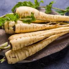 Image result for Pastinake