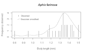 Attēlu rezultāti vaicājumam “Aphis farinosa”