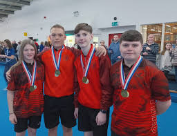 Image result for Dinefwr Indoor Bowls Club