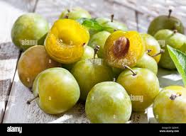 Attēlu rezultāti vaicājumam “Prunus domestica subsp. insitita fruit”