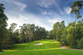 Image result for Leatherhead Golf Club