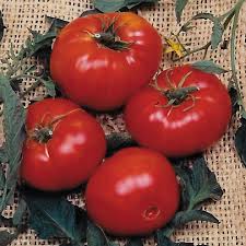Afbeeldingsresultaat voor brandywine cherry tomato