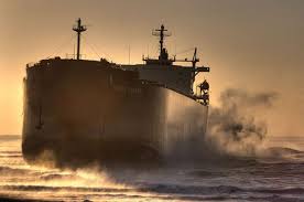 Image result for Pasha bulker