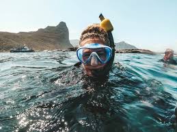 Image result for Wyndley Seals Snorkelling Club