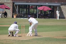 Image result for Luton Nomads Cricket Club
