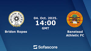 Image result for Banstead Athletic Fc