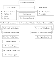 Image result for Seiki Juku Karate Organisation