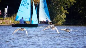 Image result for Tamesis Club