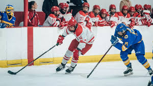 Image result for York University Street Hockey Club