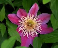 Image result for epl1 20mm night site:flickr.com