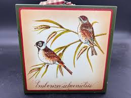 Attēlu rezultāti vaicājumam “Emberiza schoeniclus”