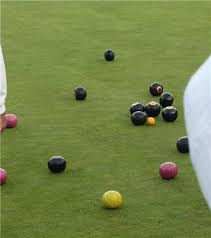 Image result for Seamer Bowling Club