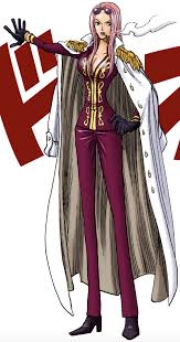 「ヒナ ONE PIECE」の画像検索結果