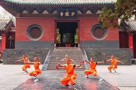 Image result for Shaolin Ancestors kung Fu School