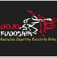 Image result for Ryuko Dojo