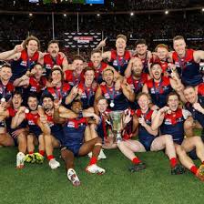 Image result for Melbourne United Football Club