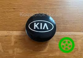 Картинки по запросу белку зажевало в диск