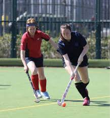 Image result for Tenbury Ladies Hockey Club